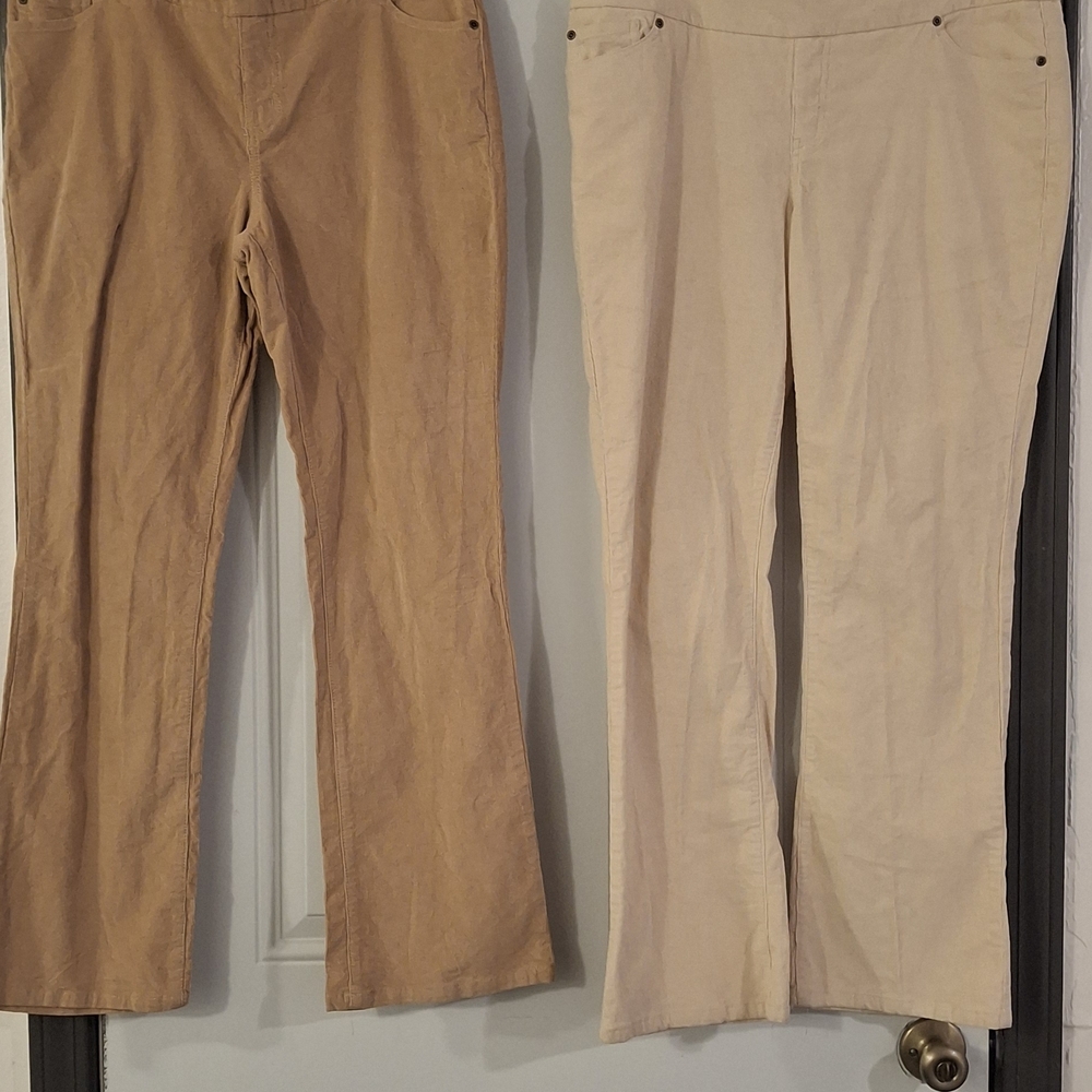 Chadwicks Boot Cut Pants in Tan and Cream